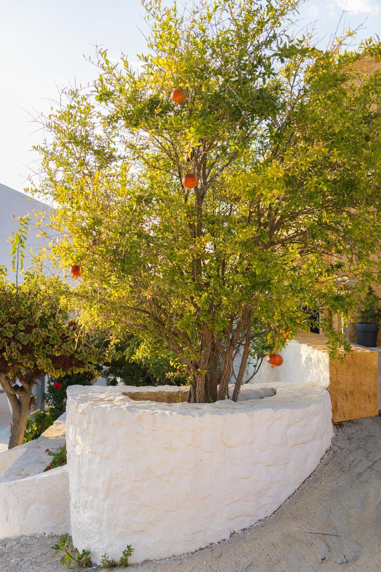 Villa Anton By Cura Villas Collection Kalathas Eksteriør bilde